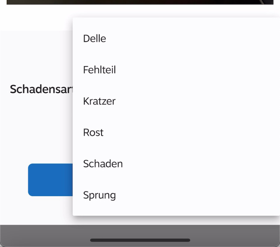 Schadensart Fehlteil